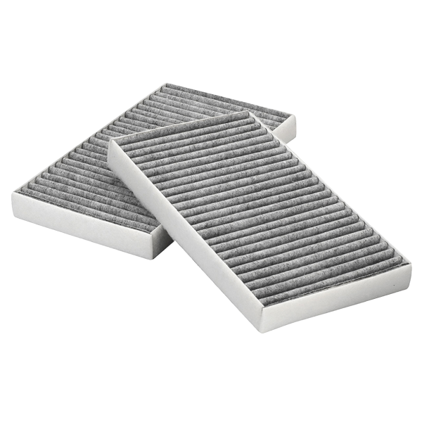 Фильтры Салонные